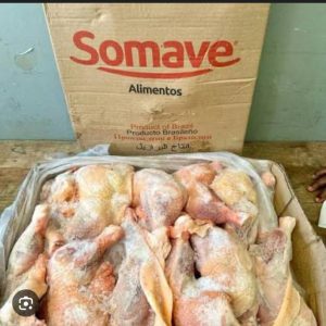 CHICKEN LAYER